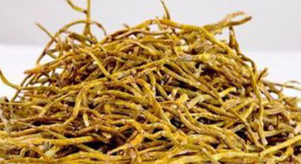 铁皮石斛