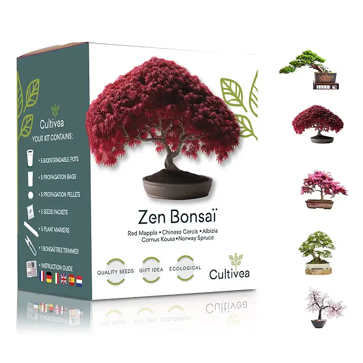 Complete kit for growing bonsais