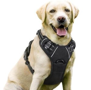 Adjustable Soft Padded Dog Vest No-Pull Pet Harness with 2 Leash Clips