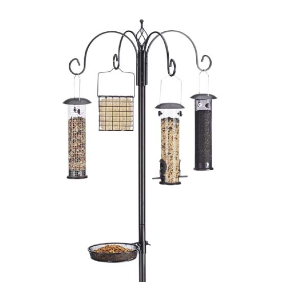 Bird Feeder