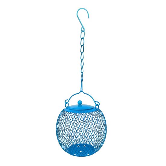 Bird Feeder