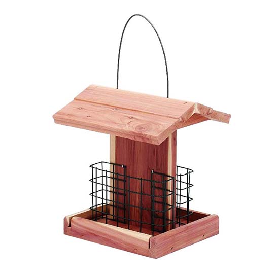 Bird Feeder