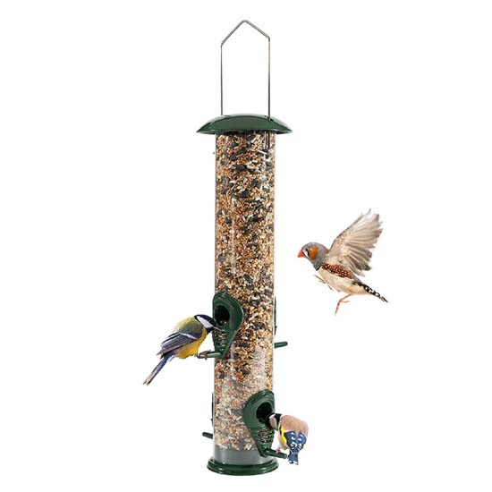 Bird Feeder