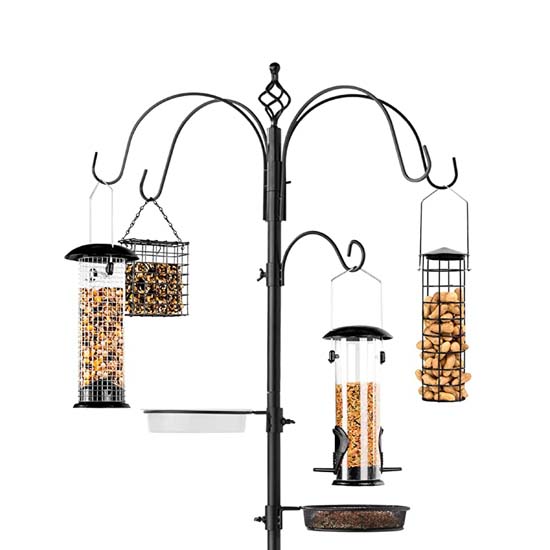 Bird Feeder