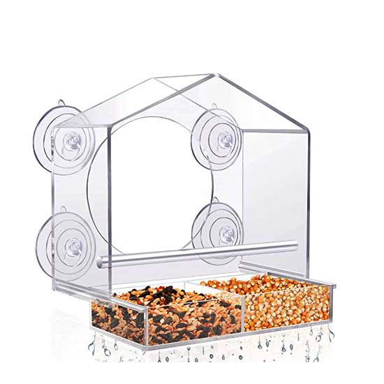 Bird Feeder