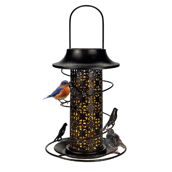 Bird Feeder