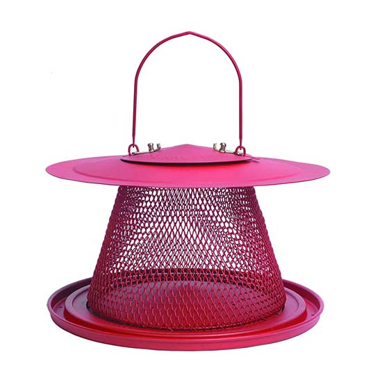Bird Feeder