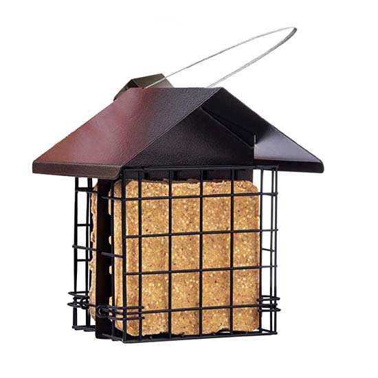 Bird Feeder