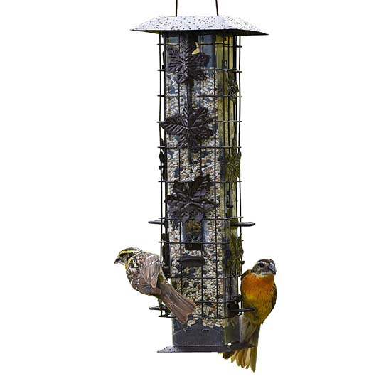 Bird Feeder