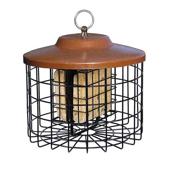 Bird Feeder