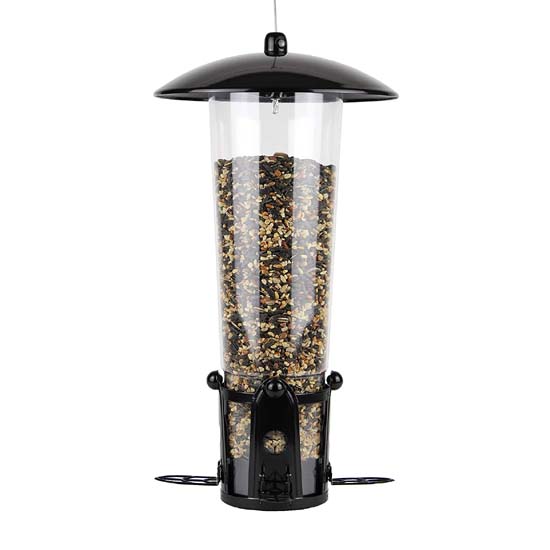 Bird Feeder