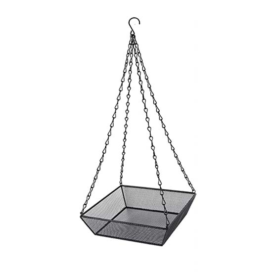 Bird Feeder
