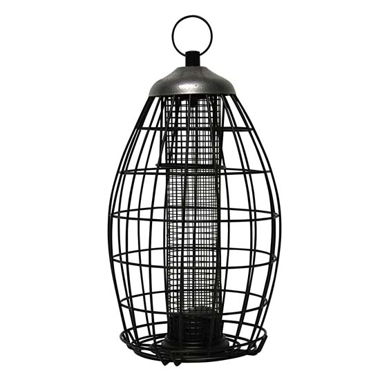 Bird Feeder