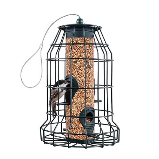 Bird Feeder