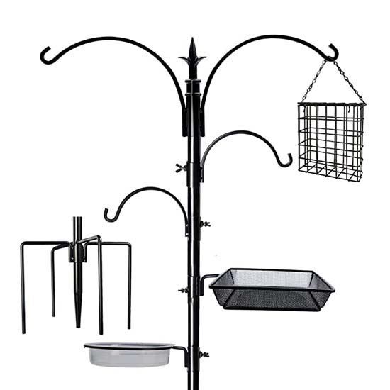 Bird Feeder