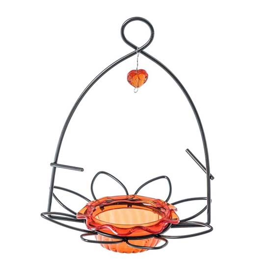 Bird Feeder