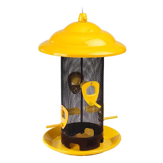 Bird Feeder
