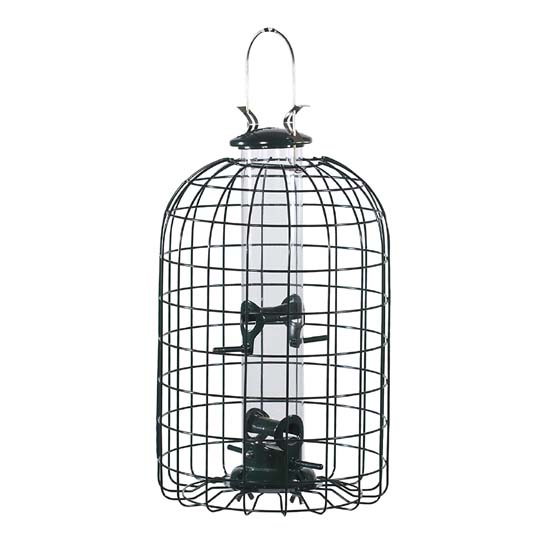 Bird Feeder