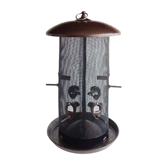 Bird Feeder