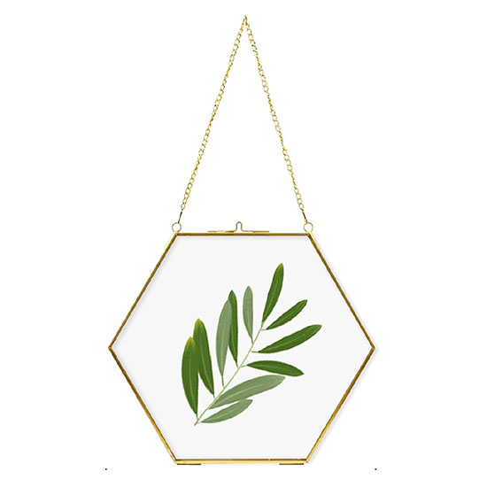 Wall & Tabletop Photo Frames