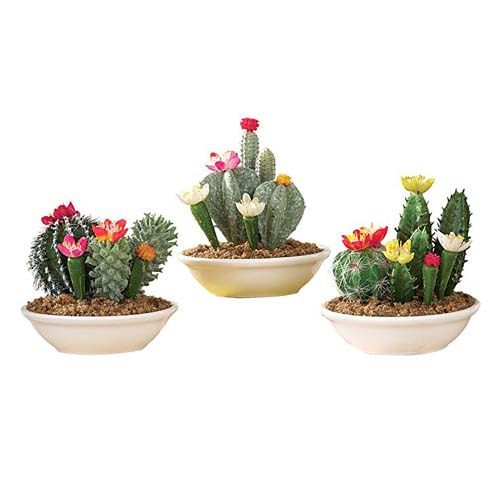 Artificial Plants