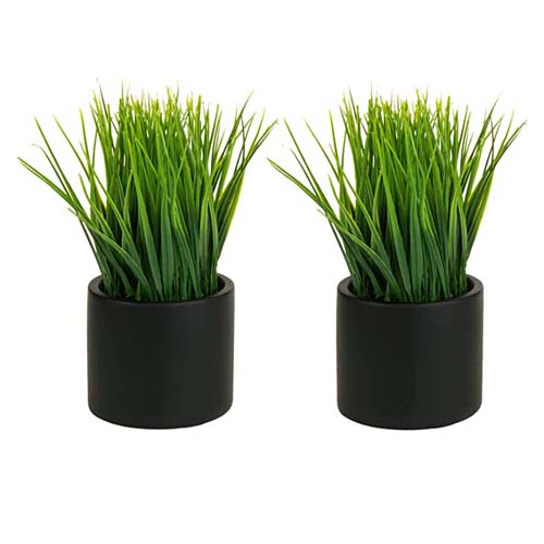 Artificial Plants