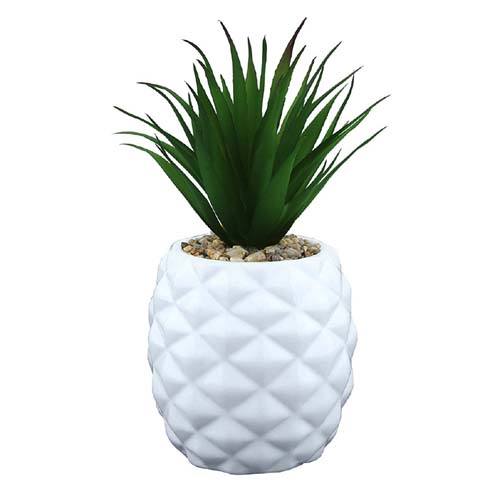Artificial Plants