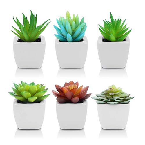 Artificial Plants