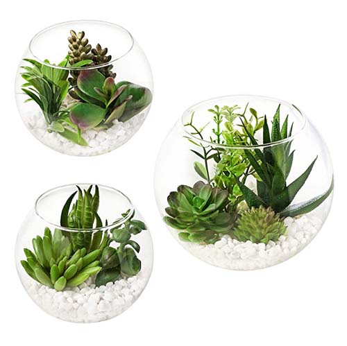 Artificial Plants