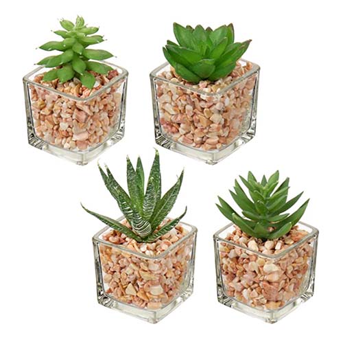 Artificial Plants