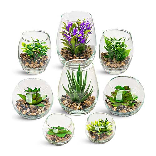 Artificial Plants