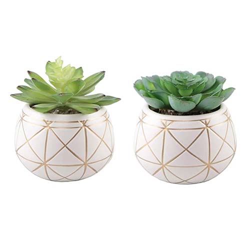 Artificial Plants