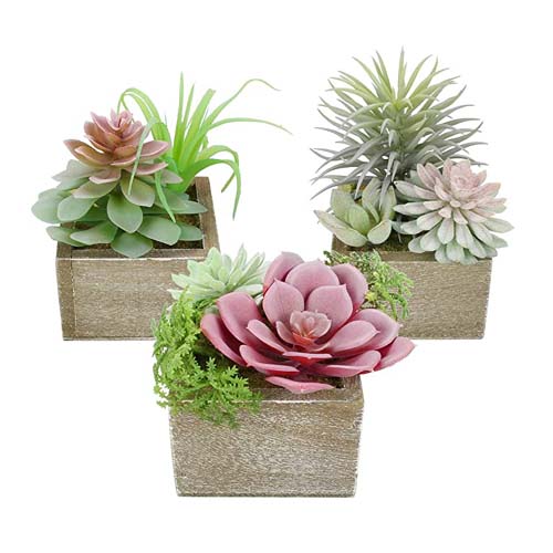 Artificial Plants