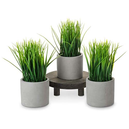 Artificial Plants