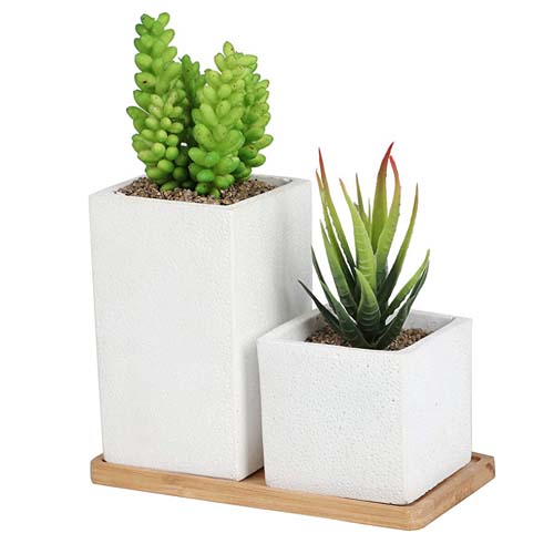 Artificial Plants