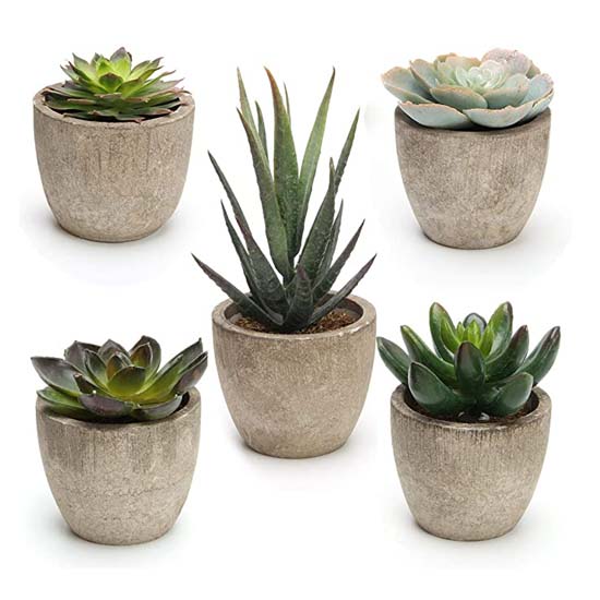 Artificial Plants