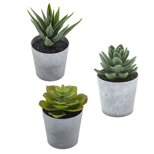 Artificial Plants