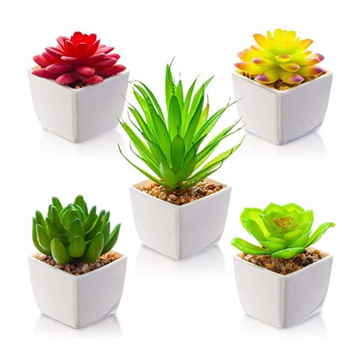 Artificial Plants