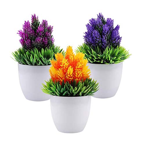 Artificial Plants
