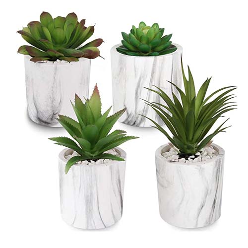 Artificial Plants