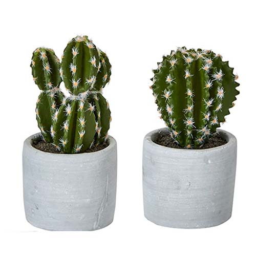 Artificial Plants