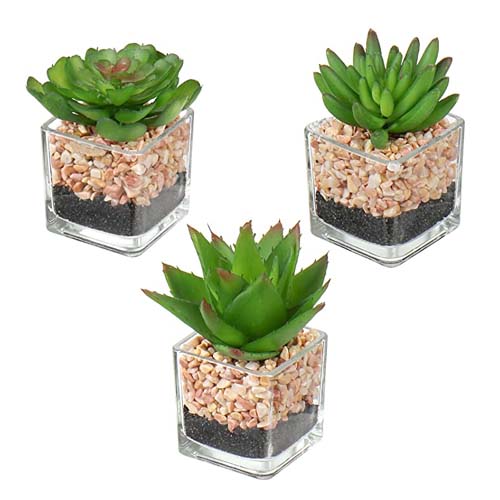Artificial Plants