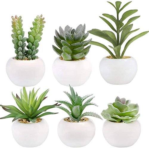 Artificial Plants