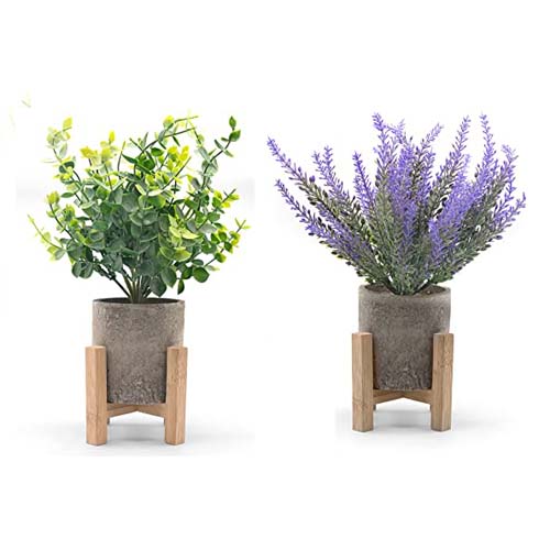 Artificial Plants
