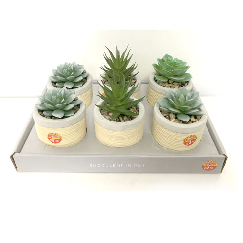 Artificial Plants