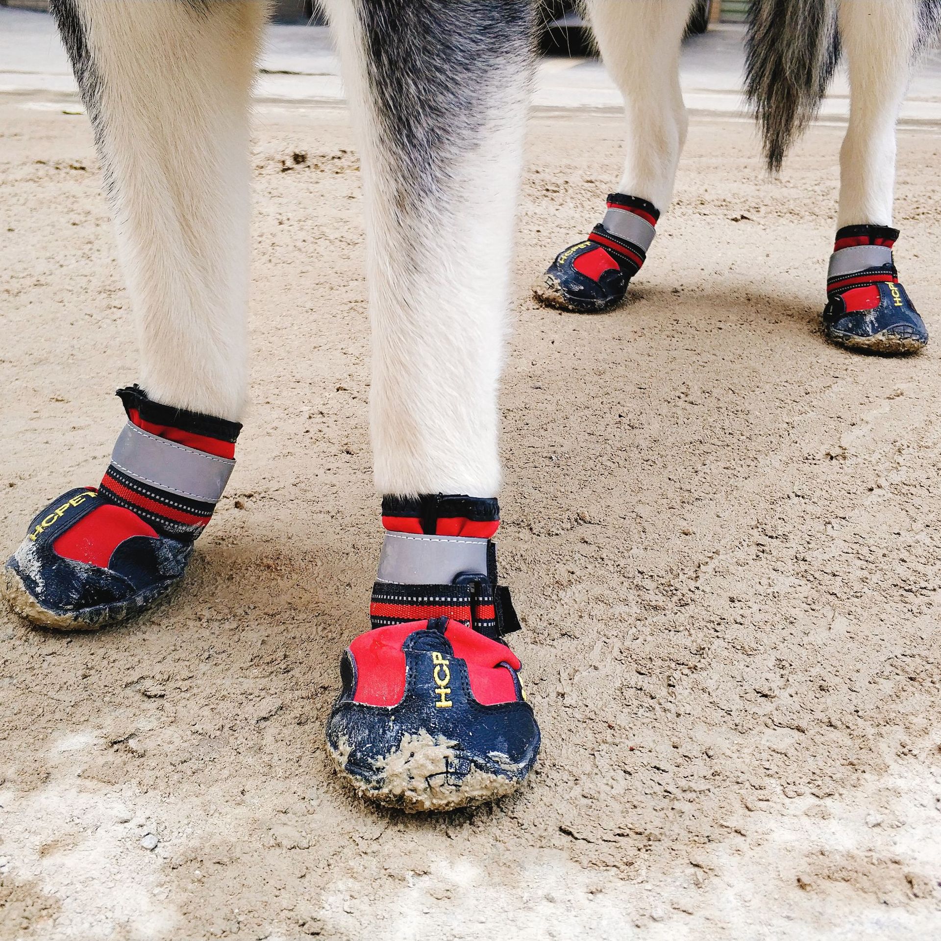 4PCS set Anti-Slip Sole Outdoor Waterproof Dog Boots Paw Protectors Dog Shoes with Reflective Strips
