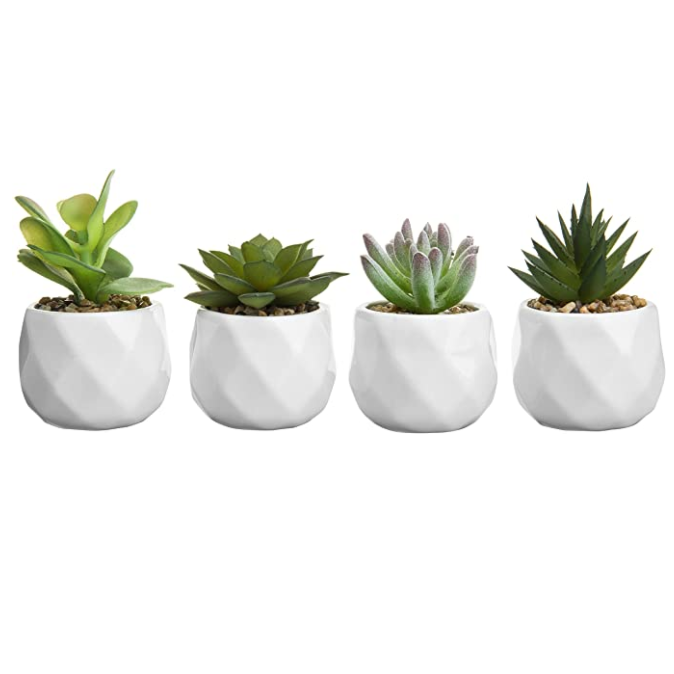 Artificial Plants