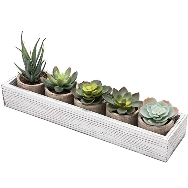 Artificial Plants