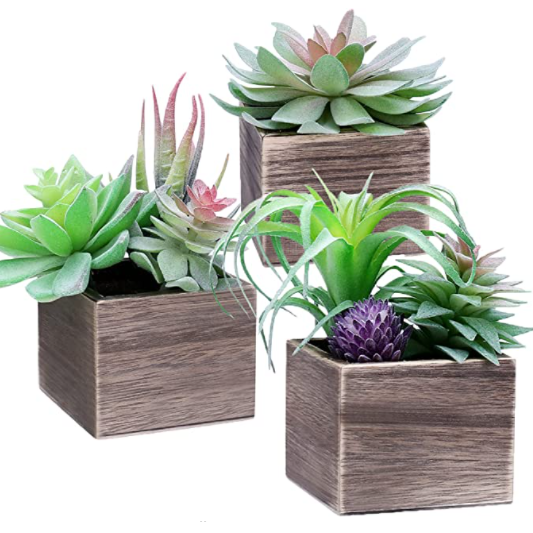 Artificial Plants