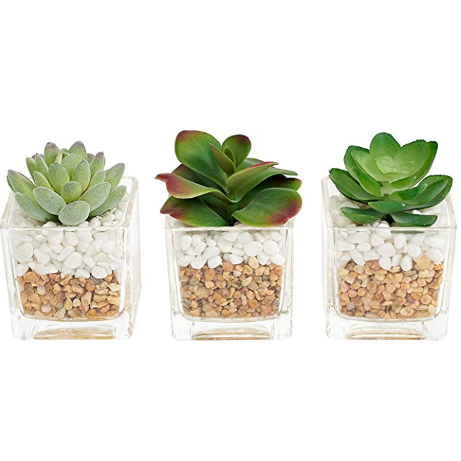 Artificial Plants